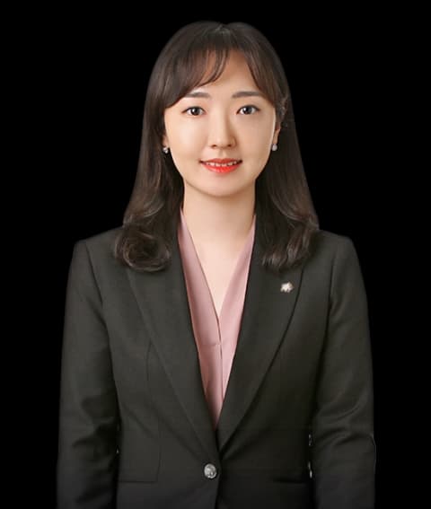 서울외부감사대응변호사 undefined
